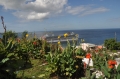 grenada, caribbean, west indie-130